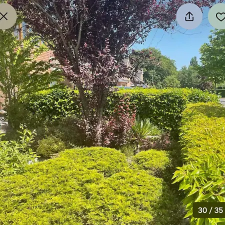 Magic Of * 멀린가